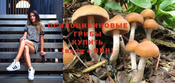дмт Баксан
