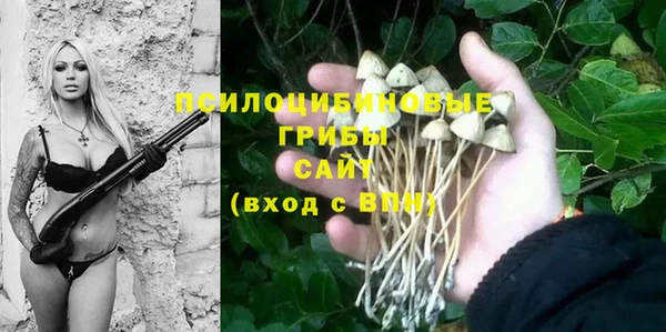 дмт Баксан