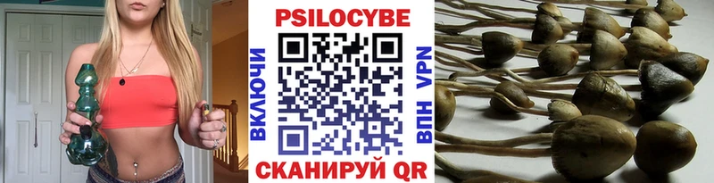 купить наркотики цена  shop официальный сайт  Галлюциногенные грибы MAGIC MUSHROOMS  Горбатов 